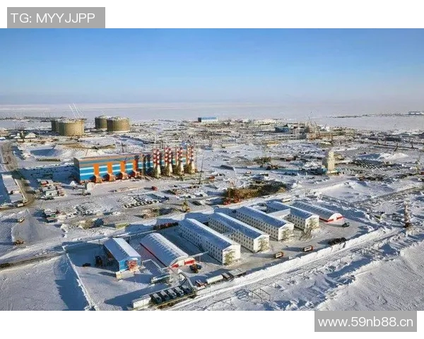 亚马尔地区资源开发与环境保护的协调发展路径研究与实践探索